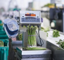 1031-Fabrication de balances